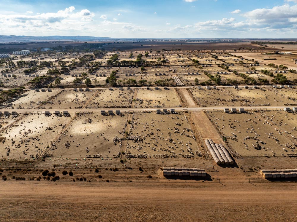 thornby edited (3 of 3)